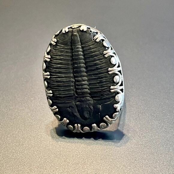 🎉HP!🎉Trilobite Silver Ring (sized 8.5) - Picture 3 of 7